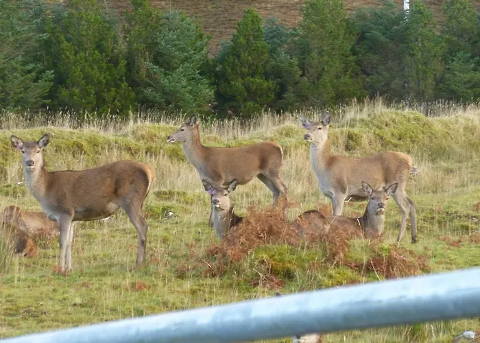 Stags View Holiday Home