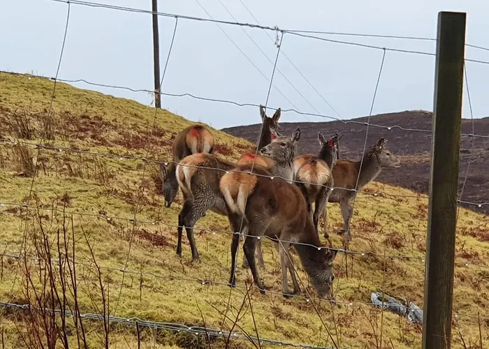 Stags View Holiday Home
