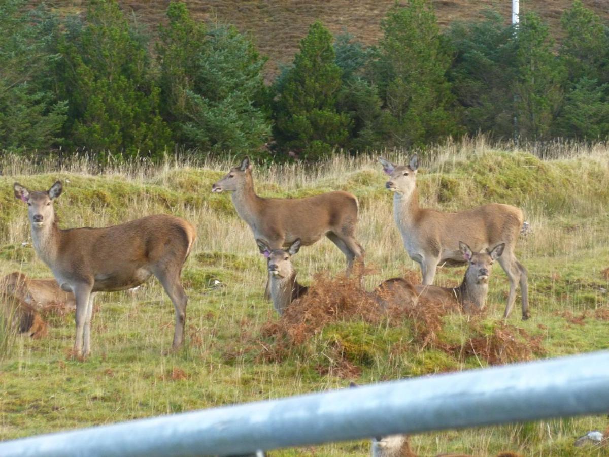 Stags View Casa de Férias *